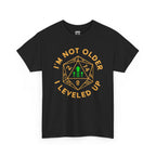 I'm Not Older, I Leveled Up T-Shirt — D20 Gamer Birthday Tee