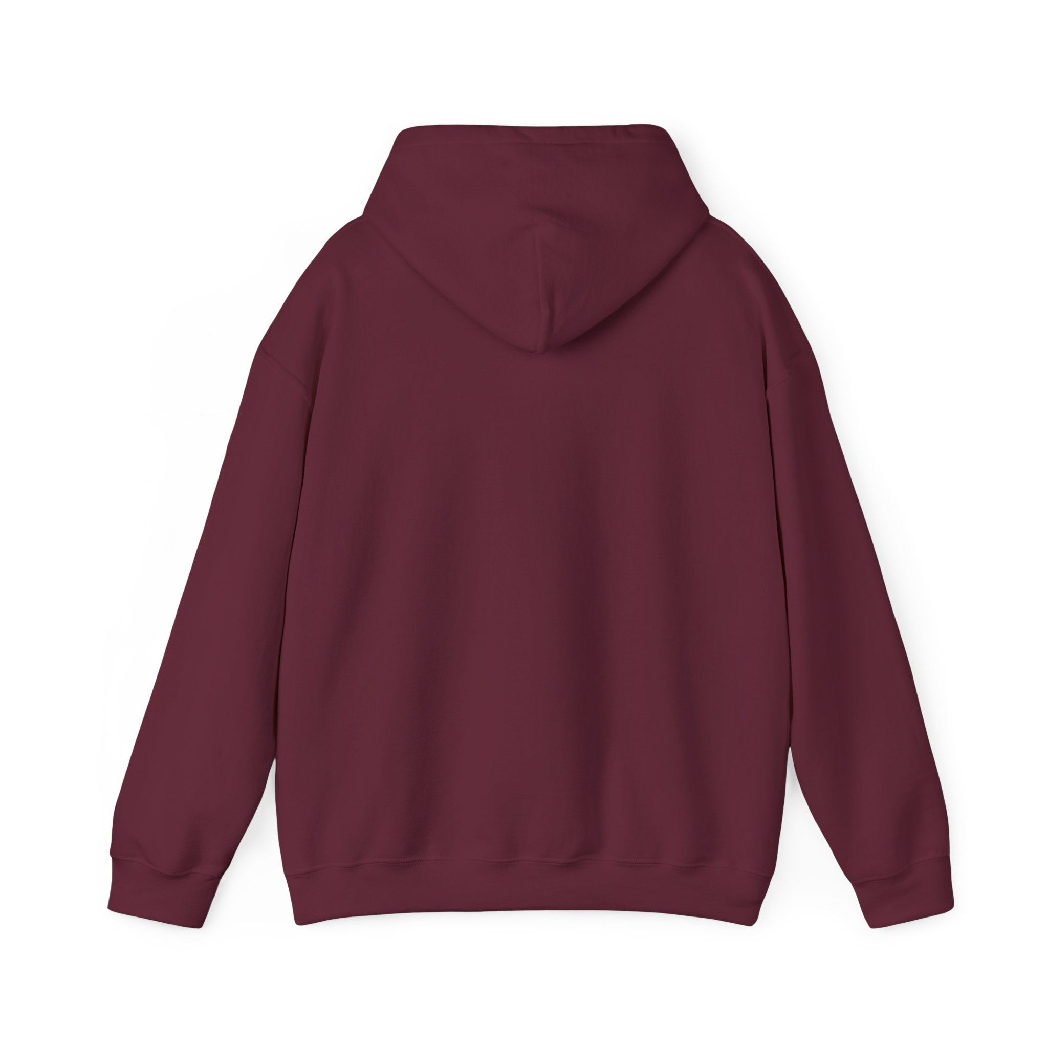 Dragon XP Hoodie - "What Doesn’t Kill You Gives You XP" Gamer Hoodie