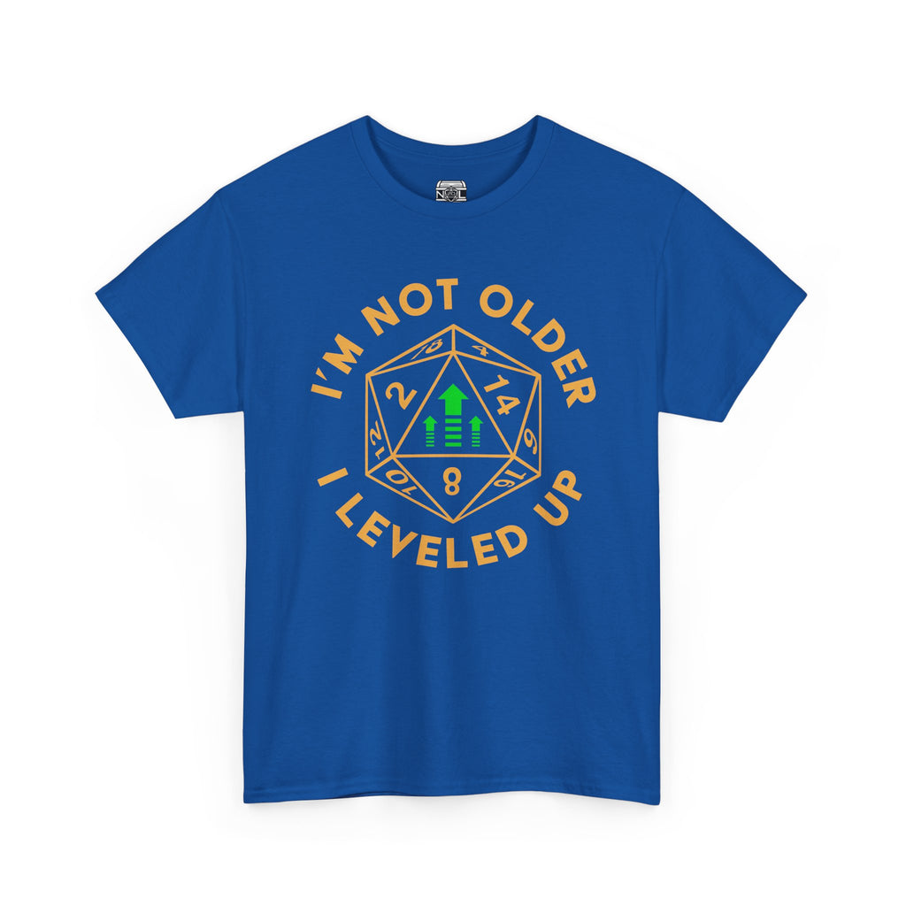 I'm Not Older, I Leveled Up T-Shirt — D20 Gamer Birthday Tee