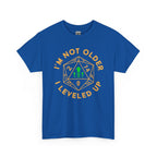 I'm Not Older, I Leveled Up T-Shirt — D20 Gamer Birthday Tee