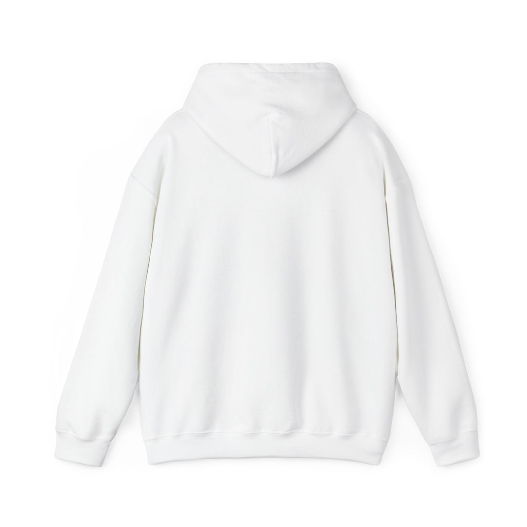 Dragon XP Hoodie - "What Doesn’t Kill You Gives You XP" Gamer Hoodie