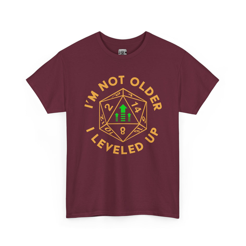 I'm Not Older, I Leveled Up T-Shirt — D20 Gamer Birthday Tee