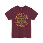I'm Not Older, I Leveled Up T-Shirt — D20 Gamer Birthday Tee