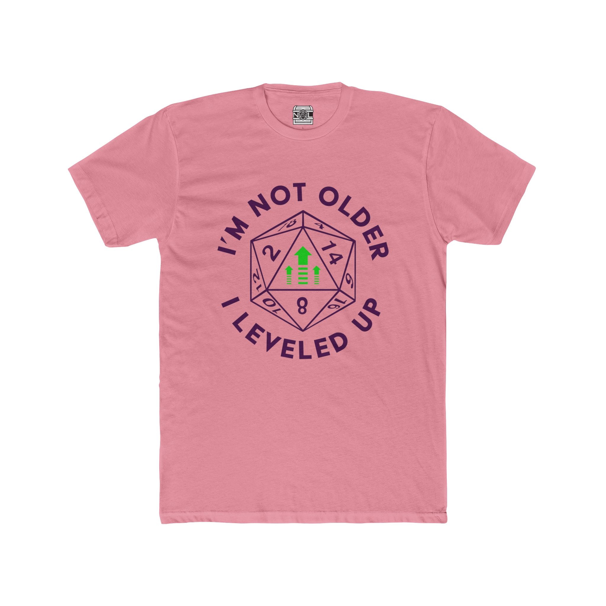 I’m Not Older I Leveled Up T‑Shirt — Funny D20 Gamer Birthday Tee