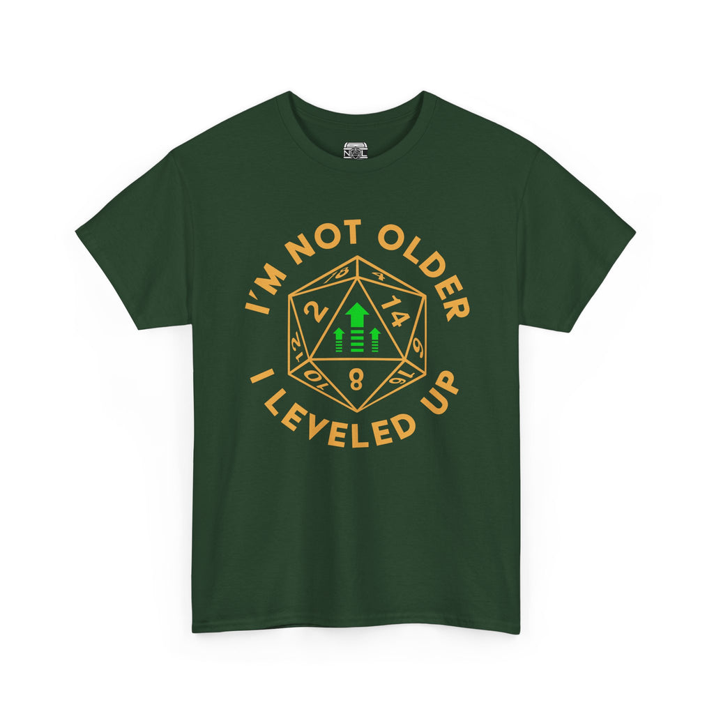 I'm Not Older, I Leveled Up T-Shirt — D20 Gamer Birthday Tee