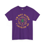I'm Not Older, I Leveled Up T-Shirt — D20 Gamer Birthday Tee