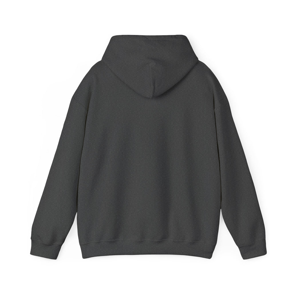 Dragon XP Hoodie - "What Doesn’t Kill You Gives You XP" Gamer Hoodie