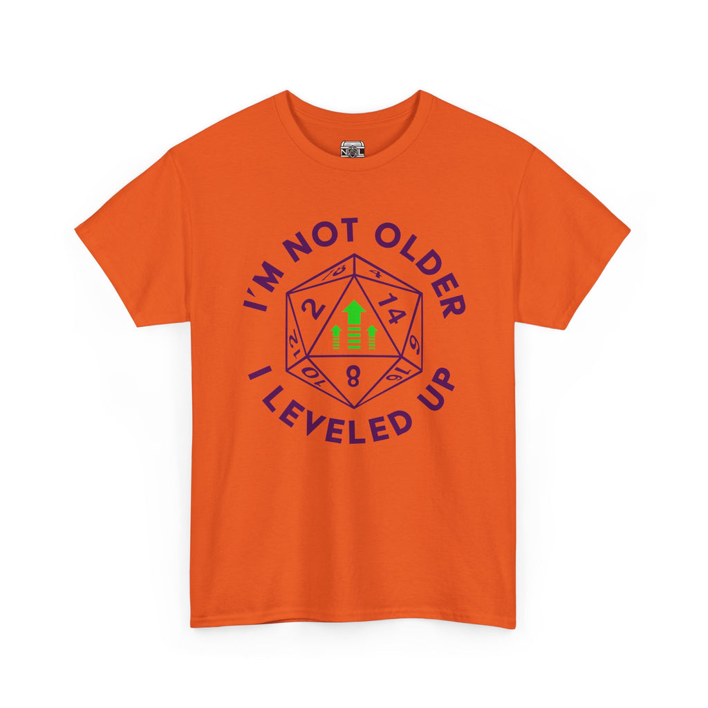 I'm Not Older, I Leveled Up T-Shirt — D20 Gamer Birthday Tee
