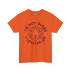 I'm Not Older, I Leveled Up T-Shirt — D20 Gamer Birthday Tee