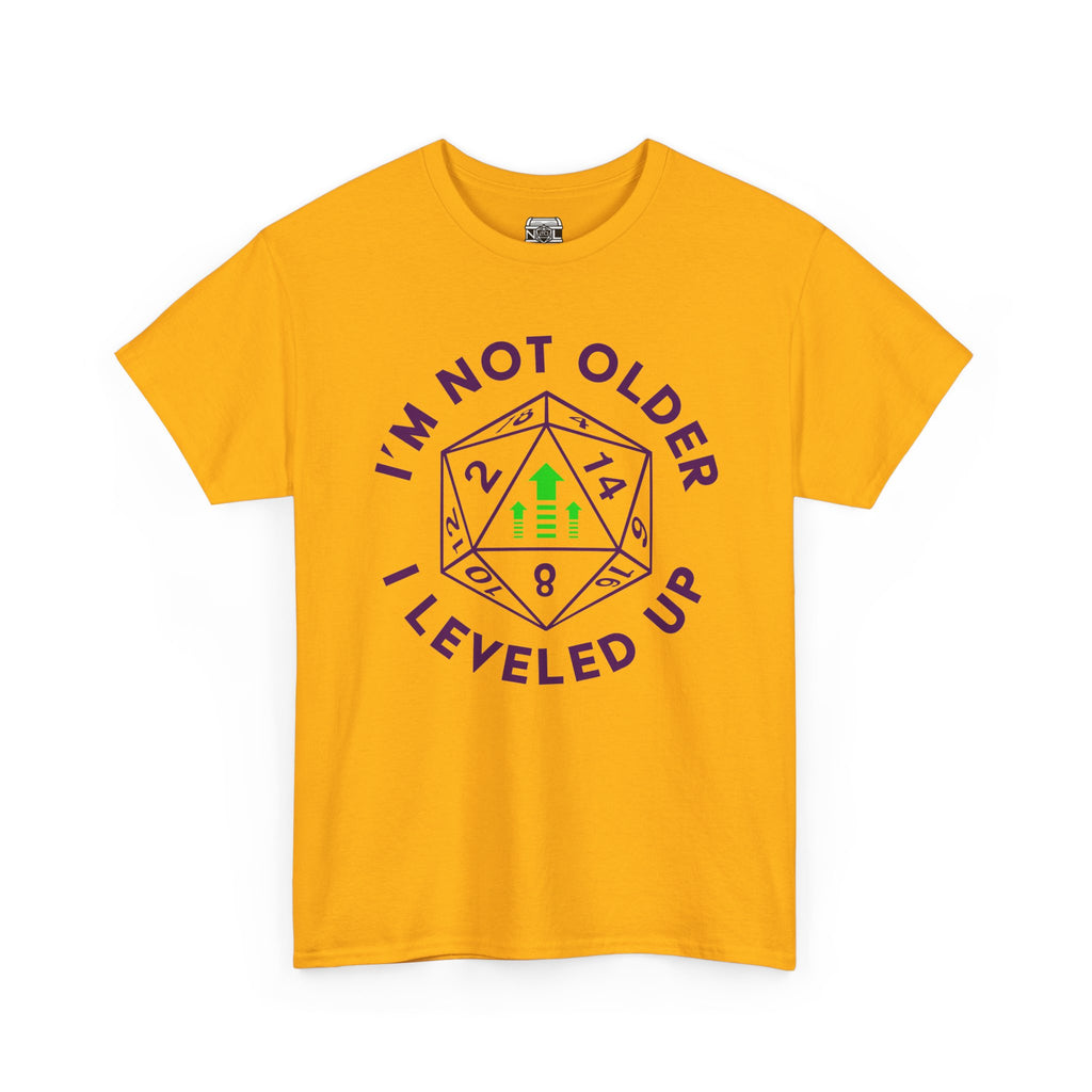 I'm Not Older, I Leveled Up T-Shirt — D20 Gamer Birthday Tee