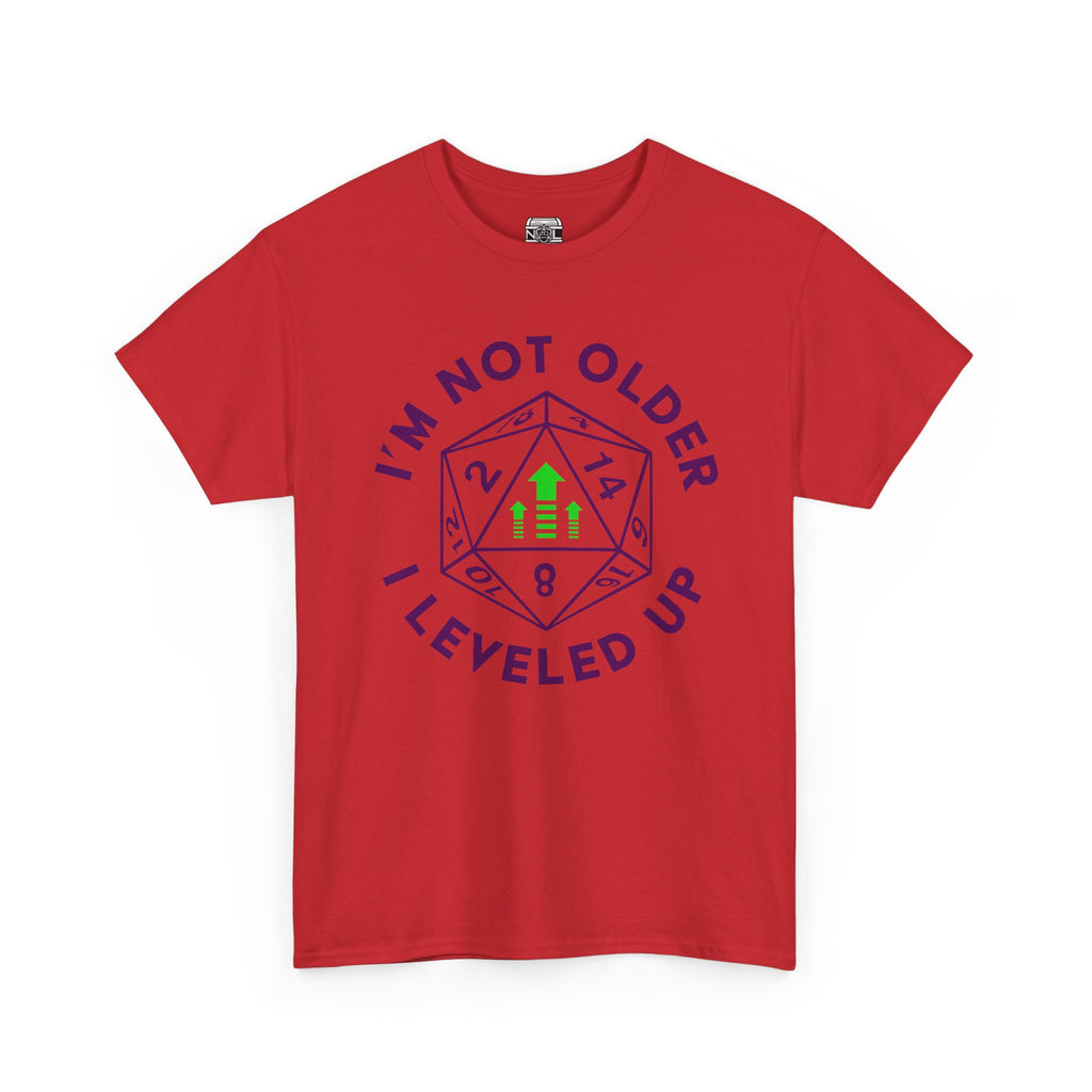 I'm Not Older, I Leveled Up T-Shirt — D20 Gamer Birthday Tee
