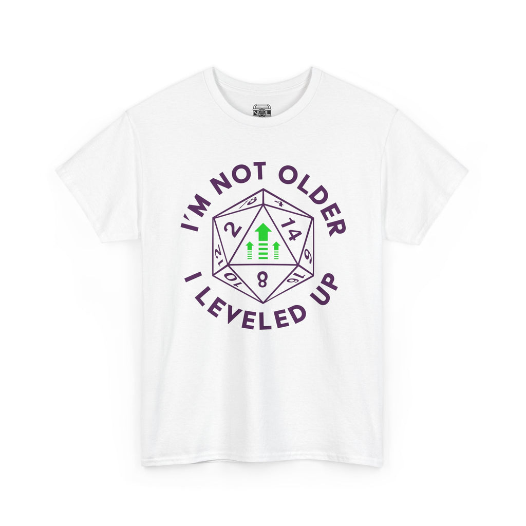 I'm Not Older, I Leveled Up T-Shirt — D20 Gamer Birthday Tee