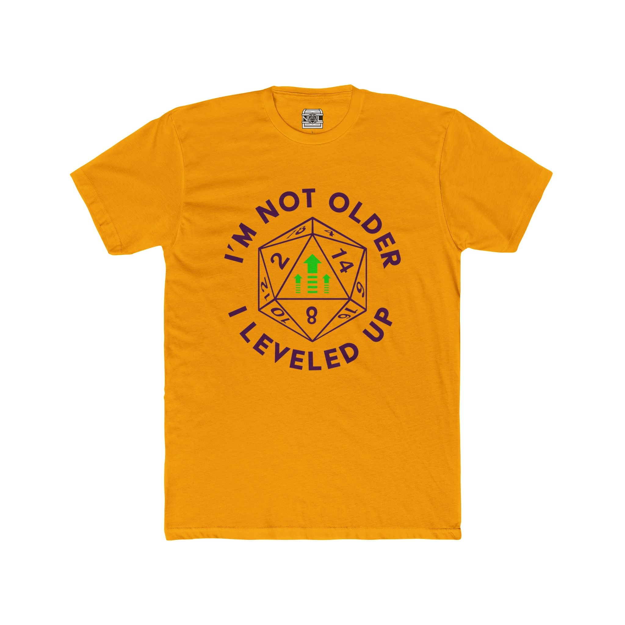 I’m Not Older I Leveled Up T‑Shirt — Funny D20 Gamer Birthday Tee
