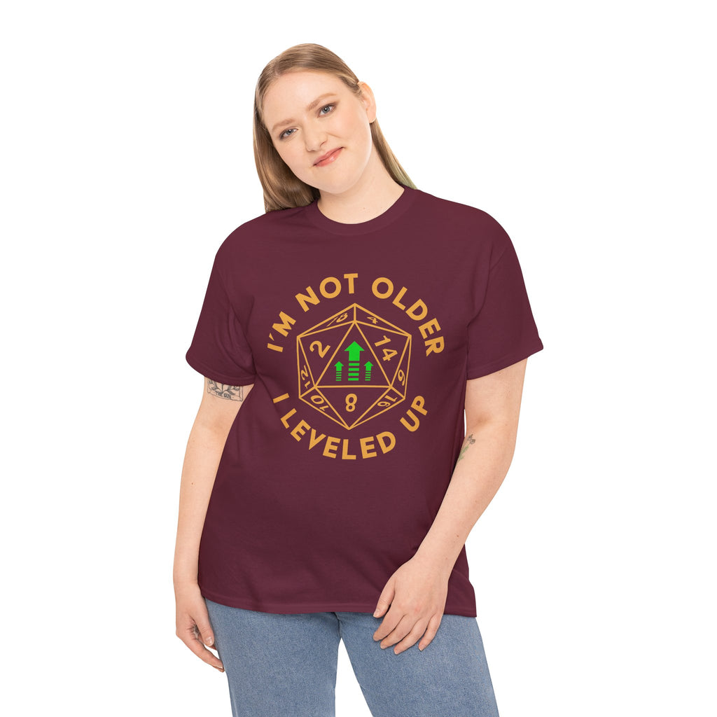 I'm Not Older, I Leveled Up T-Shirt — D20 Gamer Birthday Tee