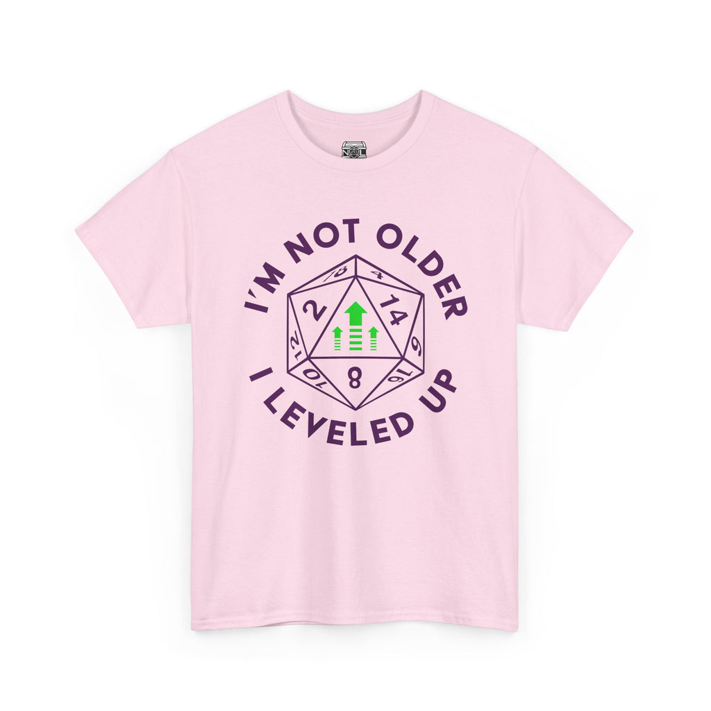 I'm Not Older, I Leveled Up T-Shirt — D20 Gamer Birthday Tee