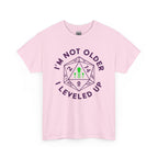 I'm Not Older, I Leveled Up T-Shirt — D20 Gamer Birthday Tee