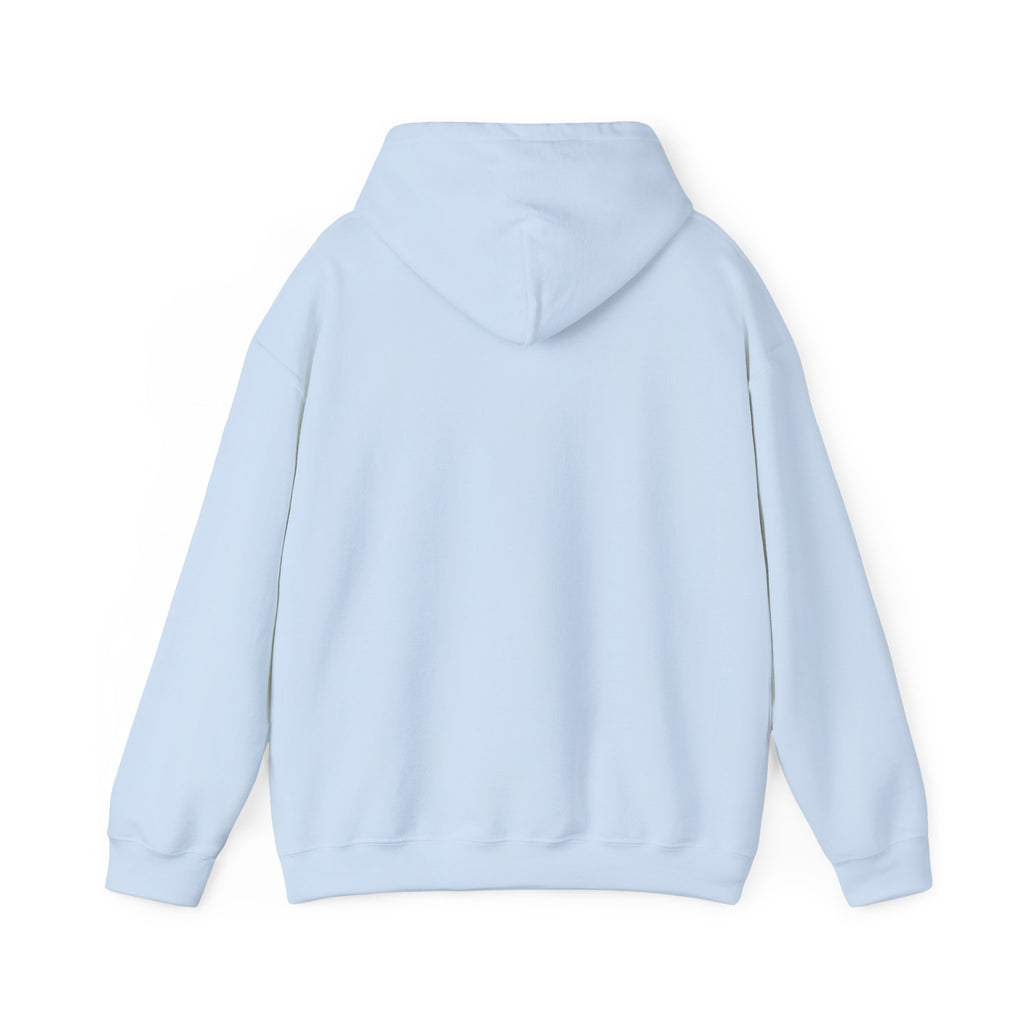 Dragon XP Hoodie - "What Doesn’t Kill You Gives You XP" Gamer Hoodie