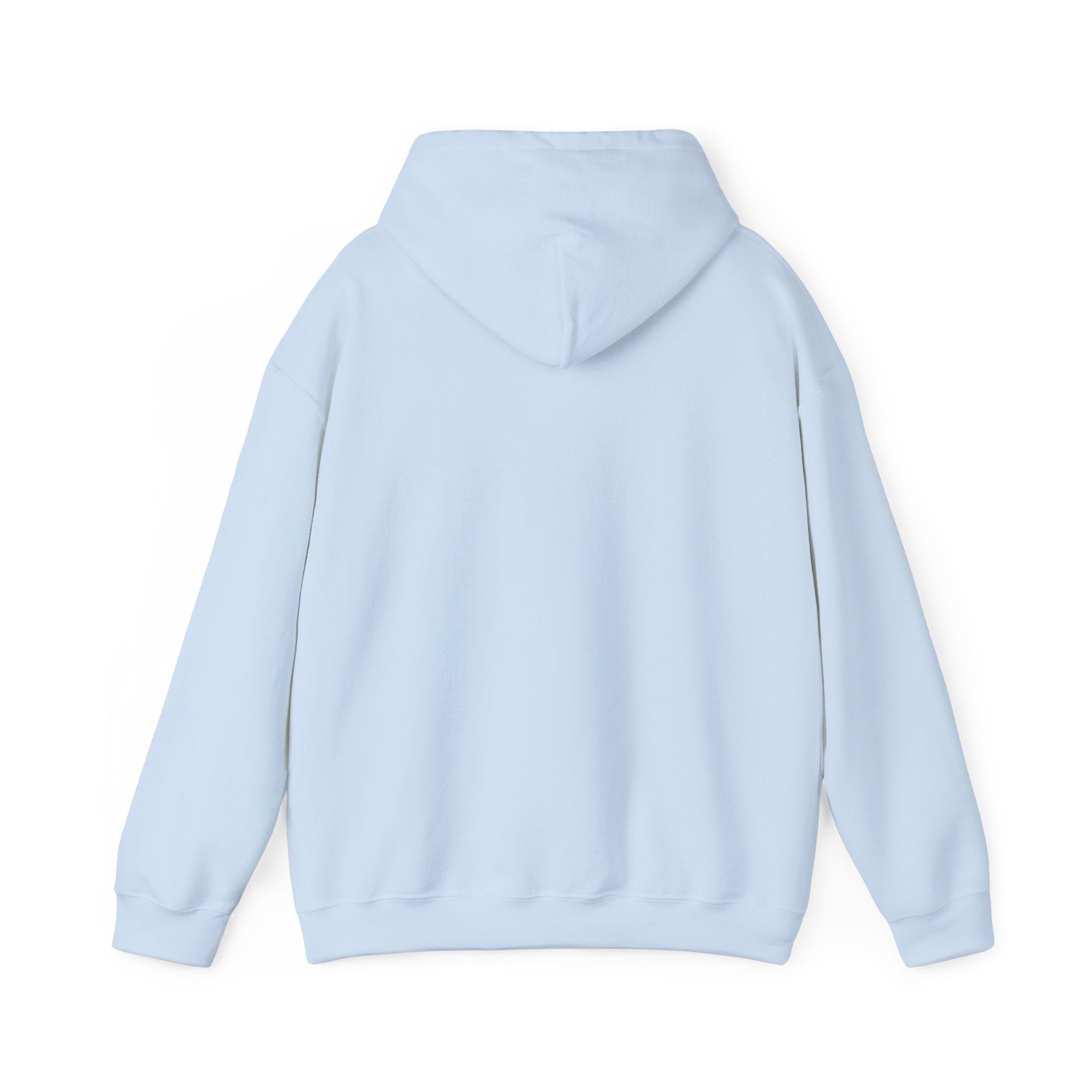 Dragon XP Hoodie - "What Doesn’t Kill You Gives You XP" Gamer Hoodie