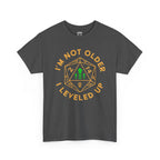 I'm Not Older, I Leveled Up T-Shirt — D20 Gamer Birthday Tee