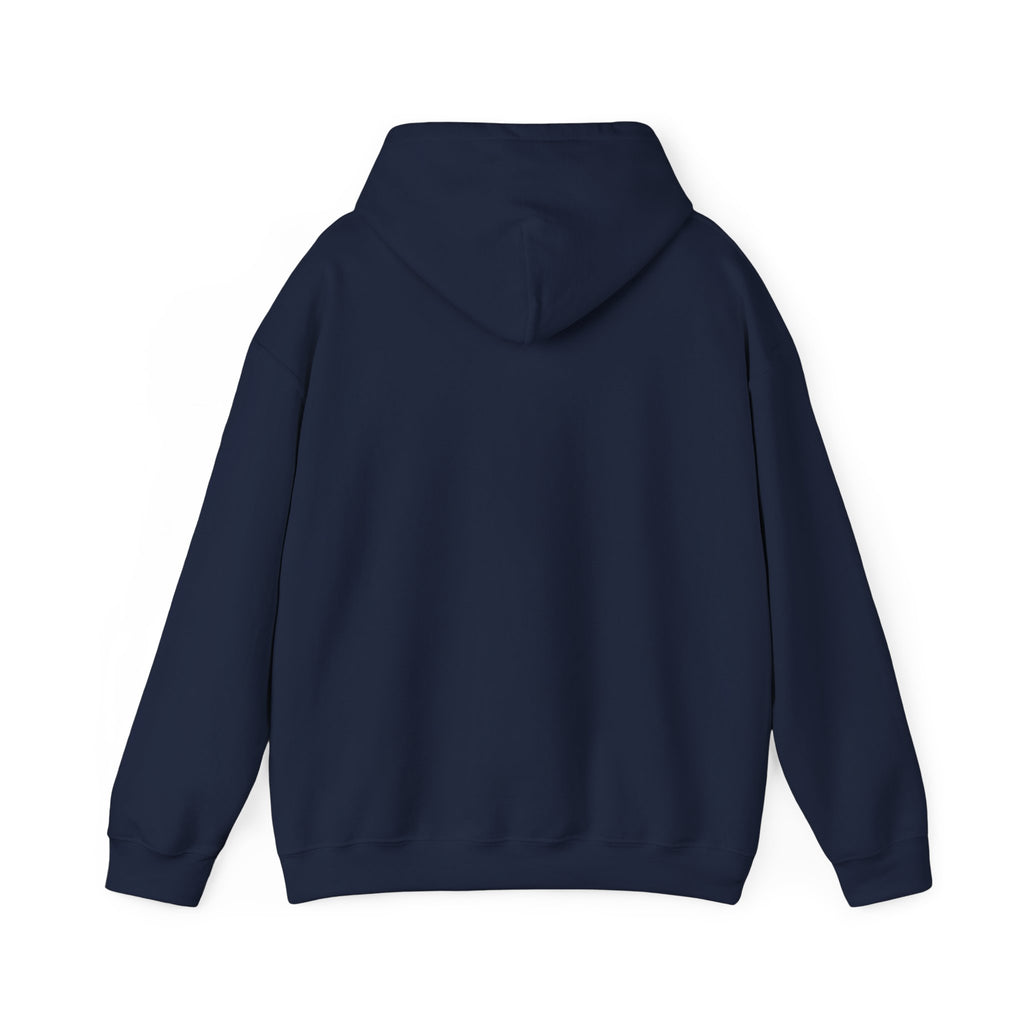 Dragon XP Hoodie - "What Doesn’t Kill You Gives You XP" Gamer Hoodie