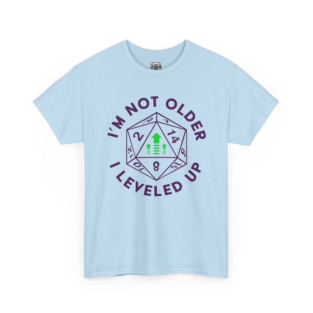 I'm Not Older, I Leveled Up T-Shirt — D20 Gamer Birthday Tee